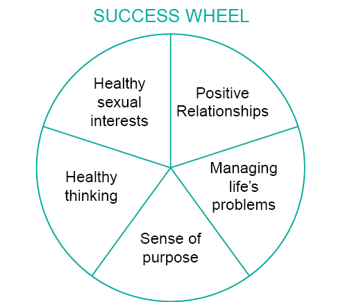 Success Wheel - Healthy sexual interests, Positive relationships, Managing life's problems, Sense of purpose, Healthy thinking